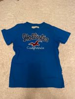 Tshirt Hollister Nordrhein-Westfalen - Krefeld Vorschau