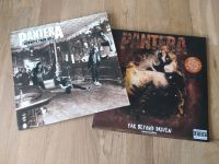 Pantera Vinyl Schallplatten LP Rock Trash Metal Groove Metal Bayern - Straubing Vorschau