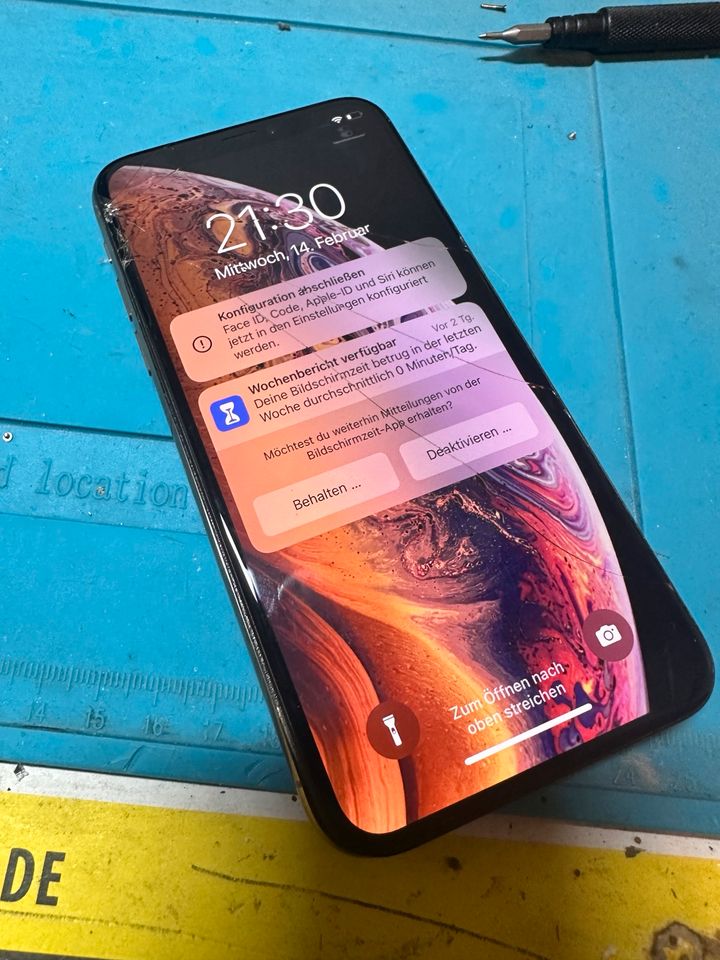 iPhone XS Display Original Glasschaden Vollfunktionsfähig in Losheim am See