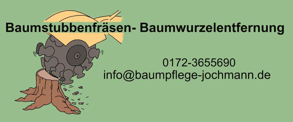 Holzeinschlag Holzrückung Baumfällungen Baumpflege Stubbenfräsen in Zwoenitz