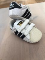Adidas Superstars Baby - Größe 17 Brandenburg - Prenzlau Vorschau