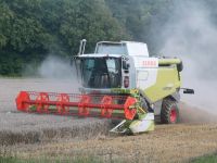 Mähdrusch, Lohndrusch, Lohndreschen mit Mähdrescher Claas Lexion Bayern - Bad Neustadt a.d. Saale Vorschau