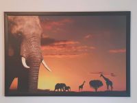 Wandbild Savanne mit Elefant Dresden - Blasewitz Vorschau