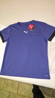 Neu! Puma Dry Cell Shirt lila in XL inkl. Versand! Bayern - Aschaffenburg Vorschau