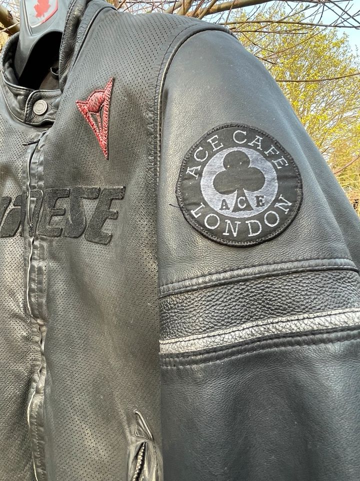 Dainese Ace Café Motorrad Lederjacke perforiert Gr. 50 Vintage in Wermsdorf