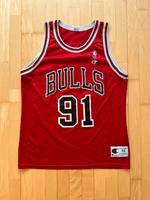 NBA Basketball Trikot Scotty Pippen Chicago Bulls Jersey Champio Bayern - Reichertshofen Vorschau