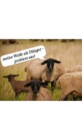 Naturdünger aus Schafwolle Bayern - Gachenbach Vorschau