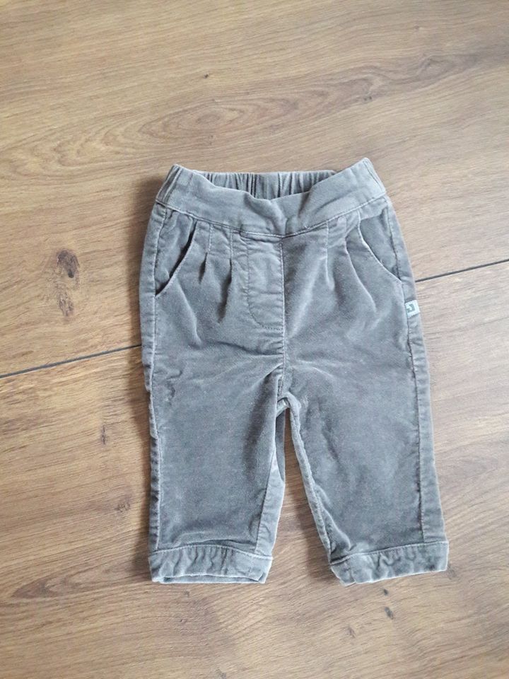 Graue Hose von Jacky Baby, Gr. 62, "Samtoptik" in Arnsberg