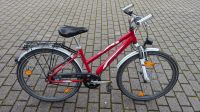 26" Kinderfahrrad Pegasus Avanti f. Mädchen Hessen - Bad Homburg Vorschau