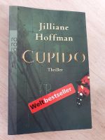 Cupido von Jilliane Hoffmann Herzogtum Lauenburg - Berkenthin Vorschau