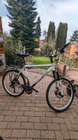 Herren-Fahrrad Focus 26 Zoll Sachsen - Meerane Vorschau