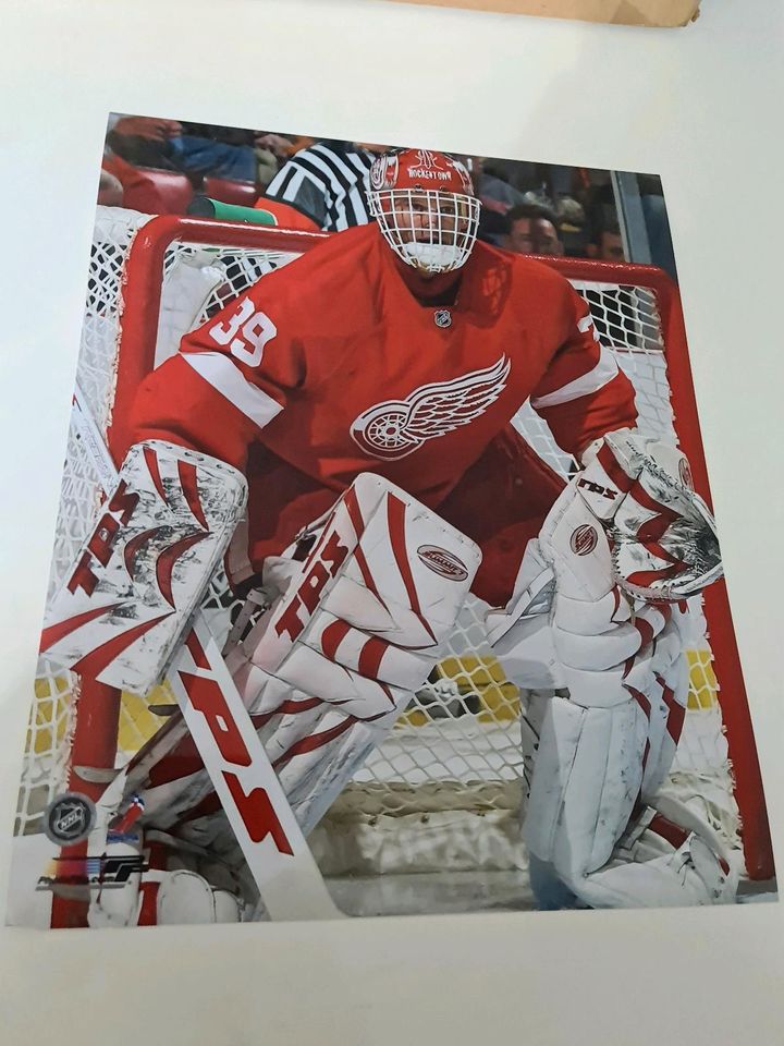 Detroit Red Wings - verschiedene 20x25cm 8x10 Fotos NHL Eishockey in Bremen