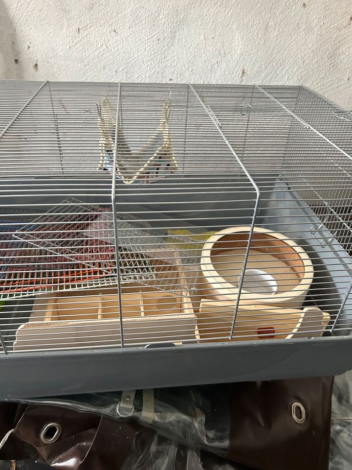 Hamsterkäfig mit Zubehör in Krefeld