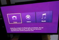 Samsung Plasma 51 Zoll ( Defekt) Baden-Württemberg - Mannheim Vorschau