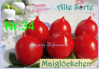 ♥ BIO Tomate Maiglöckchen Samen,Alte Sorte,Garten Tulpenstolz Eimsbüttel - Hamburg Schnelsen Vorschau
