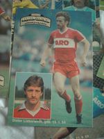 13 Spielerkarten vom 1. FC Nürnberg 1983/1984 Hessen - Limeshain Vorschau