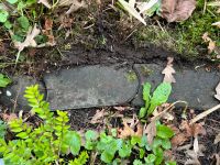 Rasenkanten Steine mindesten 120 Stück in grau Wandsbek - Hamburg Farmsen-Berne Vorschau