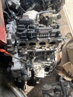 Hyundai i30 n Motor Engine G4KH komplett NEU!!! Mecklenburg-Vorpommern - Zirchow Vorschau