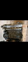 BMW E36 320 E34 520 M50 b20 TU Motor mit Vanos 206S2 Niedersachsen - Eimke Vorschau