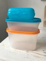 Tupperware eidgenossen dose neu Hamburg-Mitte - Hamburg Billstedt   Vorschau