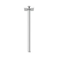 Grohe Rainshower Deckenauslass Länge 292 mm chrom 27484000 Neu Brandenburg - Teltow Vorschau