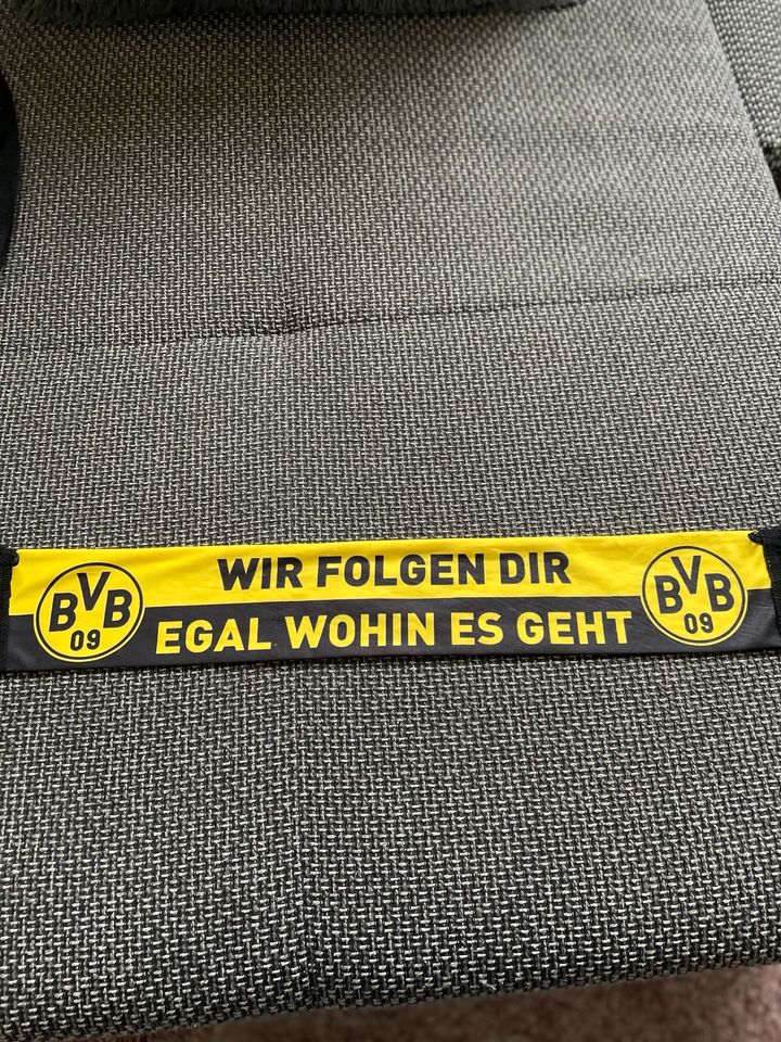 Org.BVB Schal klein. Fußball in Dortmund