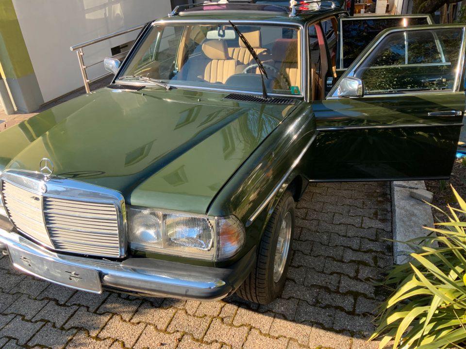 W123 Kombi 230TE in Hausach