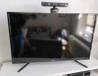 Hisense 40" TV + DVB-S/-T + HDMI + VGA+ USB + SCART Schleswig-Holstein - Schleswig Vorschau