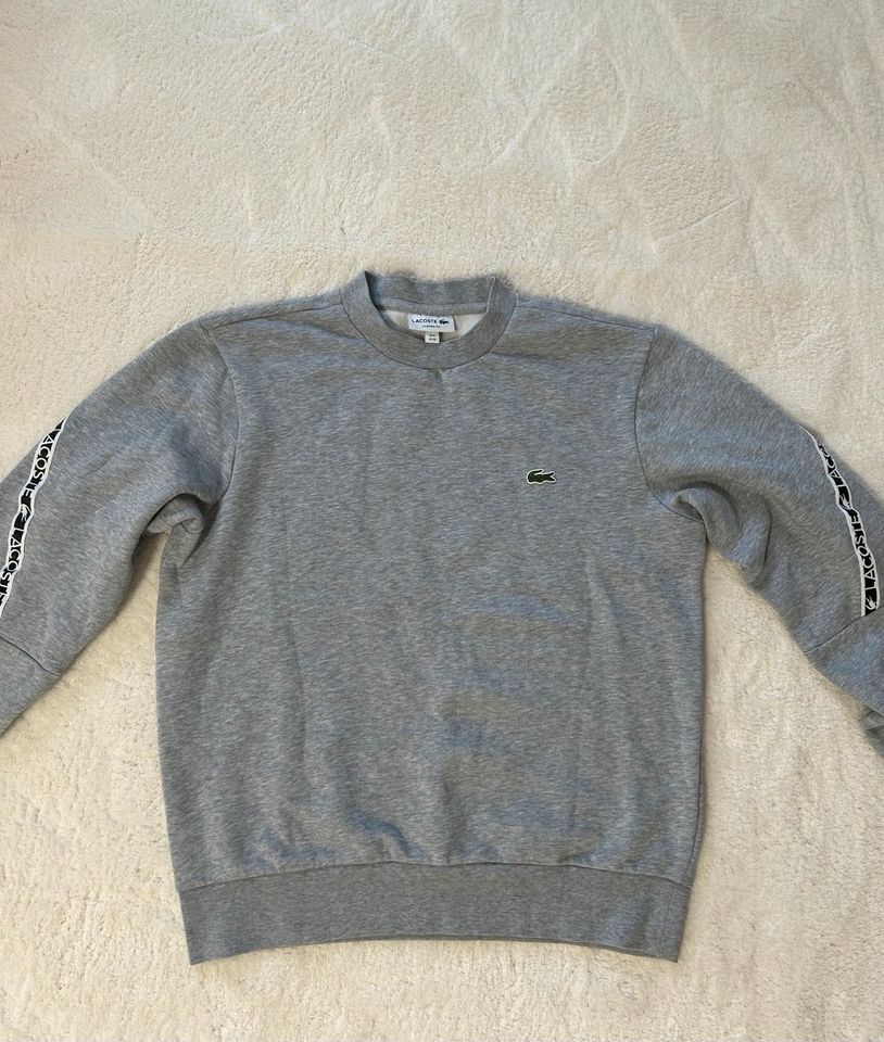 Lacoste Pulli in Bünde