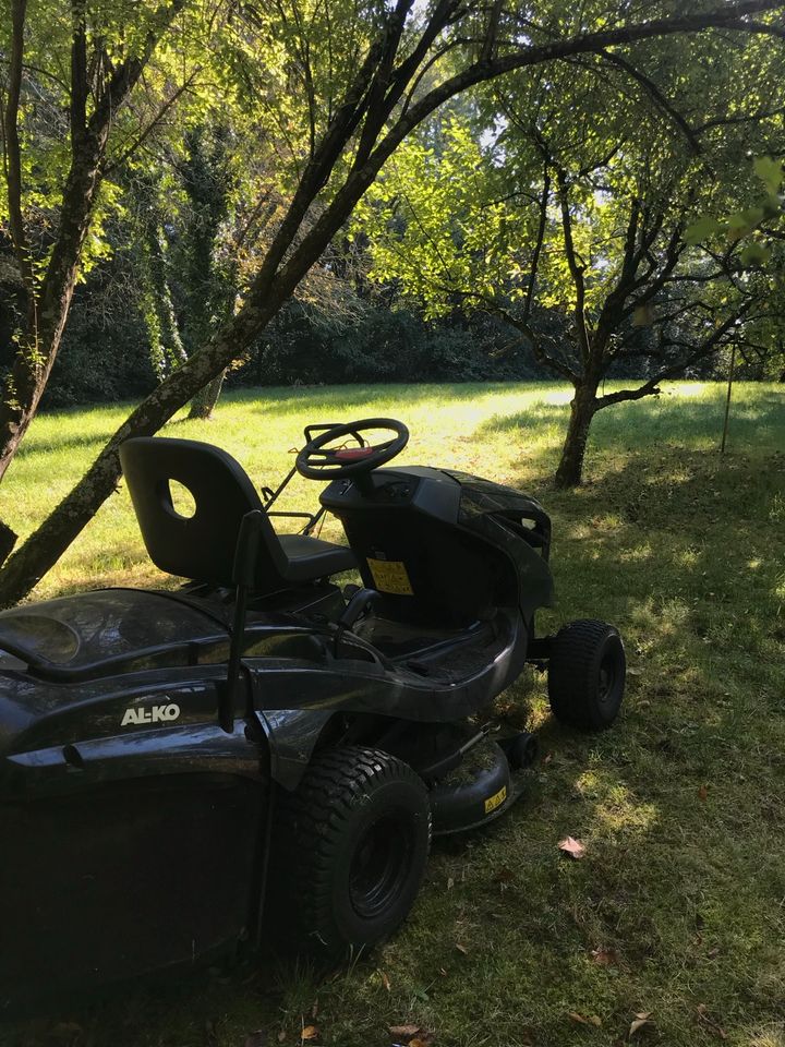 Gartengestaltung / Gartenarbeiten / Rasen Mähen und vieles mehr… in Benningen