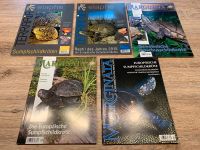 Europäische Sumpfschildkröte Magazine Emys Rheinland-Pfalz - Wolsfeld Vorschau