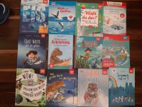 12 Kinderbücher Leselöwen Was ist das Drache Kokosnuss Mc Donalds Mecklenburg-Vorpommern - Neubrandenburg Vorschau