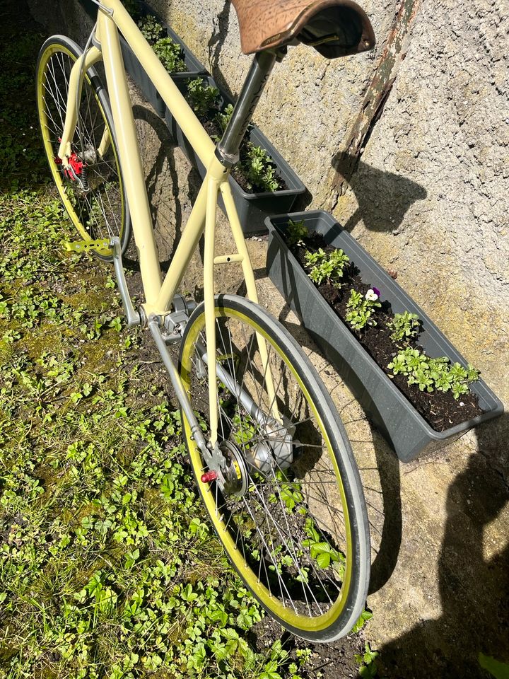 Fahrrad /Retro/ City Bike/Vintage in Düsseldorf