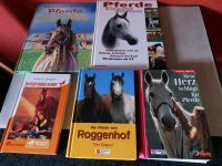 5 Pferdebücher Pferdegeschichten Pferdesport Mädchenbücher Niedersachsen - Seelze Vorschau