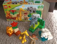 LEGO Duplo 4962 Zoo Tierbabys Nordrhein-Westfalen - Nettetal Vorschau