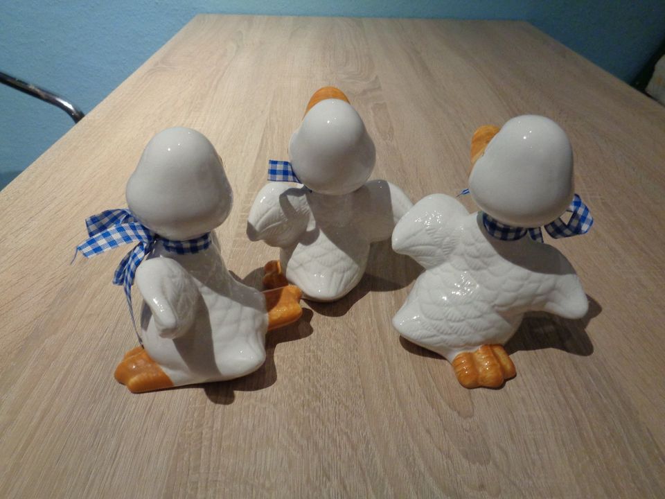 3er Set Deko-Enten für die Küche in Dresden