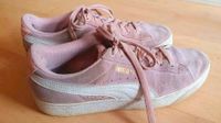 Gr. 41: Puma rosa Sneaker Suede Kr. München - Kirchheim bei München Vorschau