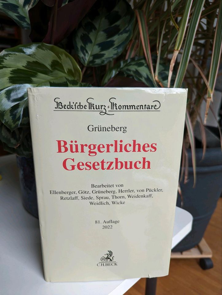 Grüneberg BGB Kommentar, 81. Aufl. (2022) - Perfekt fürs Ref! in Nürnberg (Mittelfr)