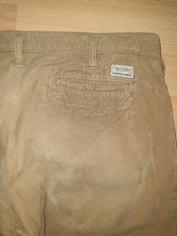 STAFF Cordhose Chino Hose Gr. 27 in Hermsdorf