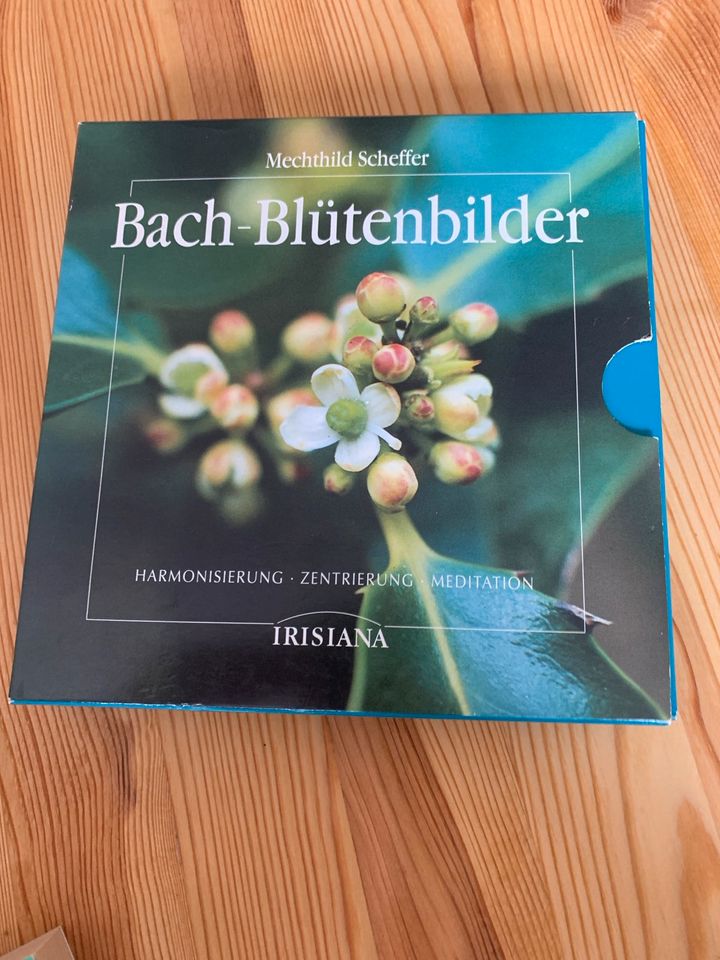 Bach-Blüten Literatur + Bilder in Gaimersheim
