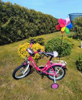 Kinder Fahrrad 14 Zoll Saarland - Saarlouis Vorschau