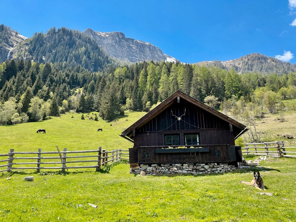 Urlaub Berghütte Nähe Zell am See, Österreich in München
