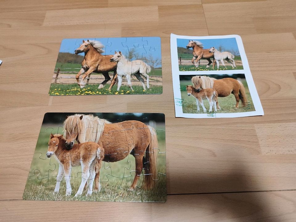 Puzzle Koffer, Pferde, 4 Puzzles in Leverkusen