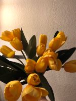 Deko Tulpen gelb Blumen Hessen - Gießen Vorschau