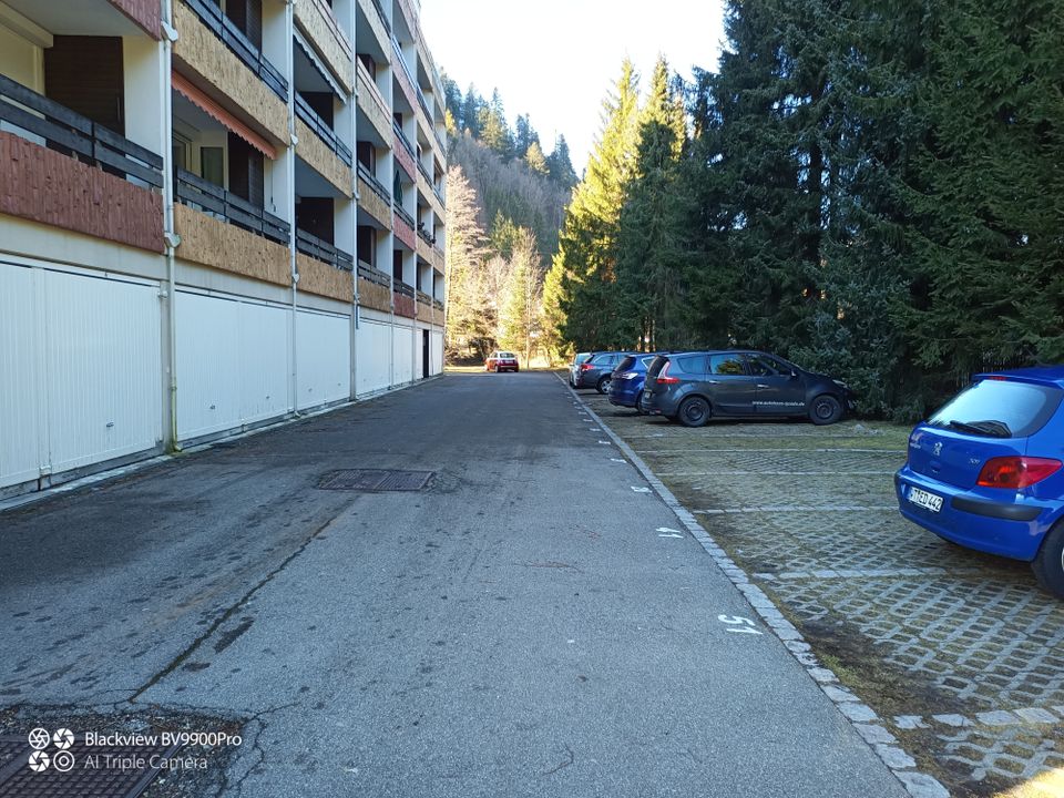 1-Zimmer 37qm Wohnung mit Schwimmbad und Garage in Schwarzwald in Todtmoos