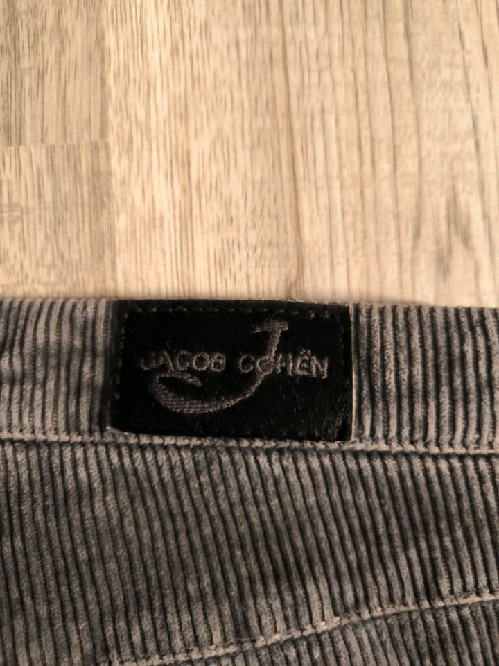 3x Jacob Cohën Hosen Gr.36 in Gelsenkirchen