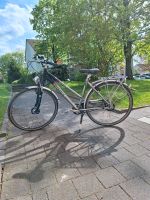 Voll funktionsfähiges Damen Fahrrad Steele / Kray - Essen Freisenbruch Vorschau