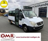 Mercedes-Benz Sprinter Mobility 311 CDI / 315 / 316 / 516 Bayern - Untersteinach Vorschau