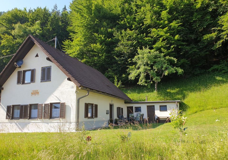 Urlaub im Ferienhaus Annemarie in Österreich/Kärnten in München