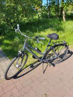 Fahrrad Bocas Grau 28 Zoll, 50 cm Rahmenhöhe Niedersachsen - Weyhe Vorschau